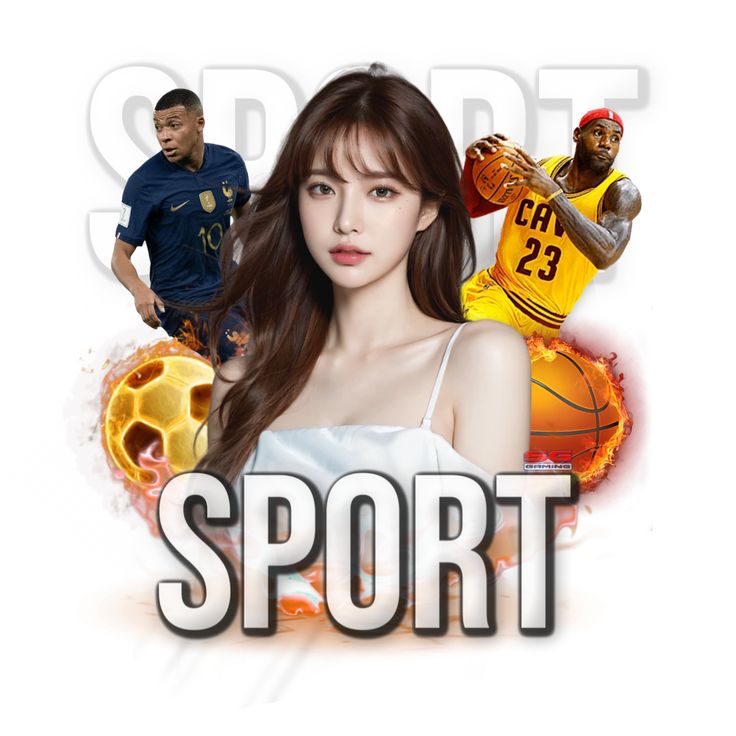 体育手机APP下载登录线路最新版